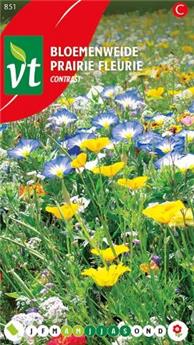 [123982] Espace Fleuri Contrast (VT)
