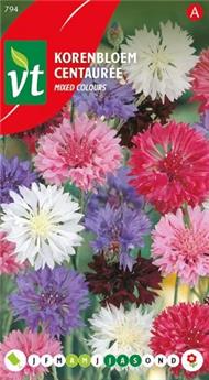 [123954] Centauree Variee (VT)