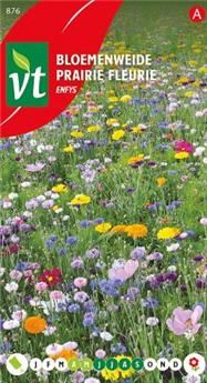 [123992] Espace Fleuri Enfys (VT)