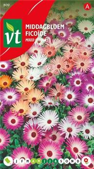 [123961] Ficoide Varie (VT)