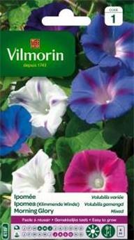 [138968] Ipomée Volubilis Variée (Vilm)