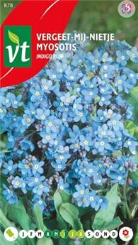 [123994] Myosotis (Ne M´Oubliez Pas) (VT)