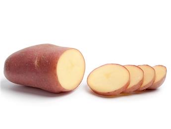 [142632] PDT Roseval 1kg . Mi-hative à peau lisse et rouge (TP)