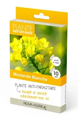 [135668] Moutarde blanche 10 m² ** Engrais vert **