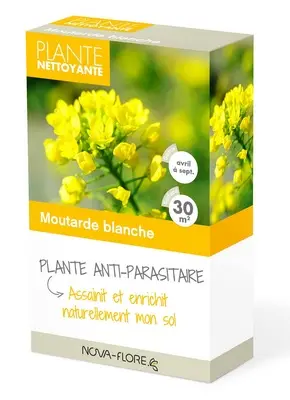 [119144] Moutarde blanche 30 m² ** Engrais vert **