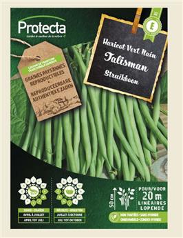 [138636] Haricot Vert Nain TALISMAN ( Protecta E )
