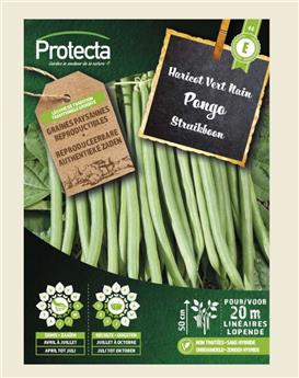 [138640] Haricot Vert Nain PONGO ( Protecta E )