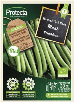 [138645] Haricot Vert Nain MAXI FR-BIO-15 ( Protecta E )