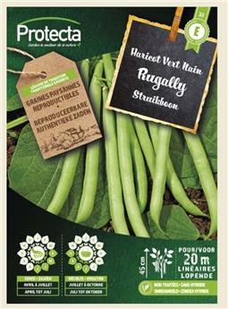 [142510] Haricot Vert Nain RUGALLY ( Protecta E )