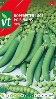 [124146] Pois Nains Proval Boîte (VT)