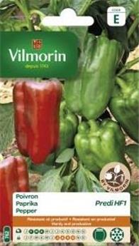 [139037] Poivron Predi F1  (Vilm)