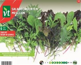 [124093] Mesclun en ruban (VT)