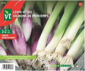 [124095] Ruban De Graines Oignons De Printemps (VT)