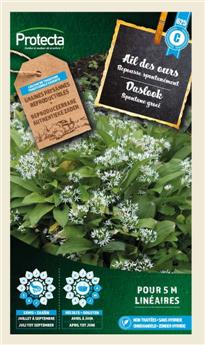 [138560] Ail des ours ( Protecta C )