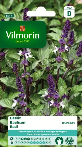 [139096] Basilic Blue Spice (Vilm)