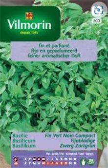 [131825] Basilic Fin Vert Compact  (Vilm)
