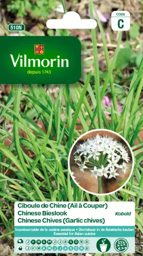 [139097] Ciboule Chine Kobold (Vilm) Ail à couper