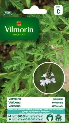 [139020] Verveine Officinale (Vilm)