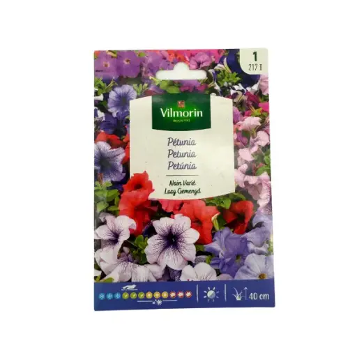 [0998030] Pétunia Nain Varié Vilm