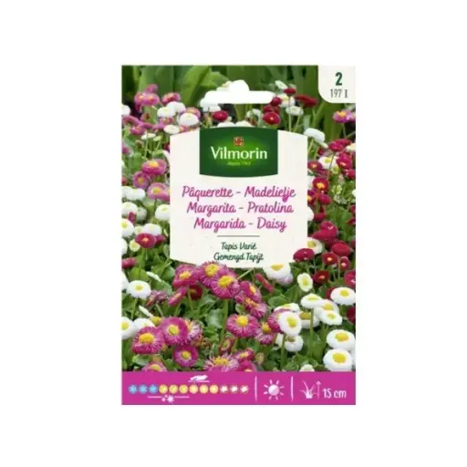 [0998032] Pâquerette Tapis Varié