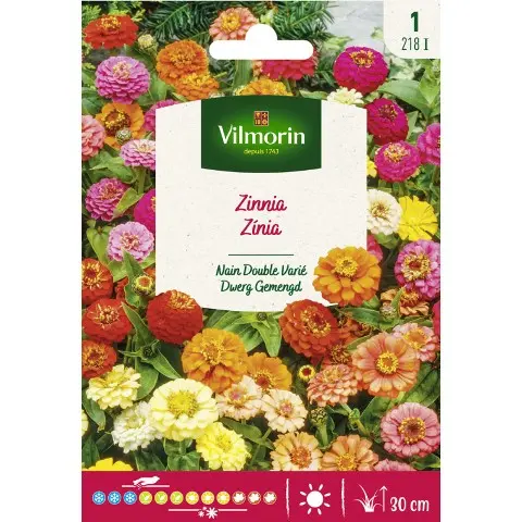 [0998033] Zinnia Nain Double Varié