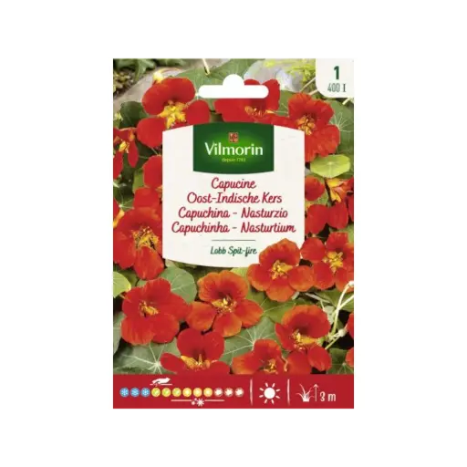 [0998038] Capucine Lobb Spit-Fire (Vilm)