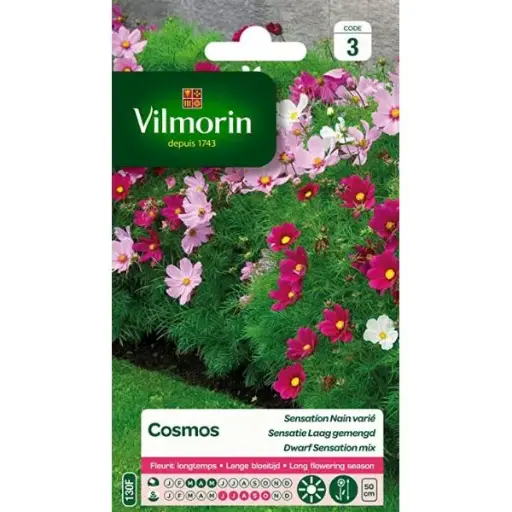 [0998058] Cosmos Sensation Nain Varié (VILM)