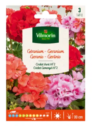 [0998062] Géranium Cricket Varié HF2 Vilm