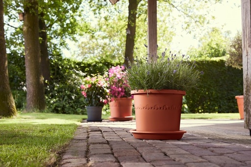 [0998531] Algarve Cilindro 30cm Pot Plastic Terra