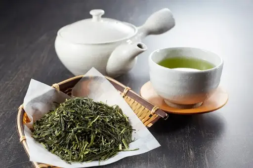[0999108] Camellia sinensis (Theier) 3 ans Pot C2 - véritable arbre à thé 