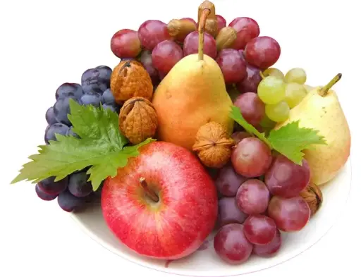[0999253] CJR Super Fruits BIO engrais organique 1 kg 