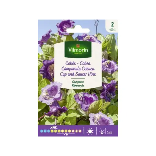 [0999456] Cobée Grimpante (Vilm)