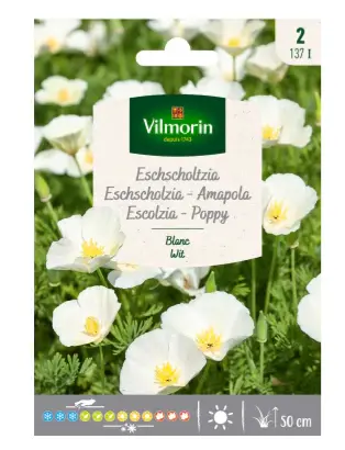 [0999460] Eschscholtzia Blanc (Vilm)