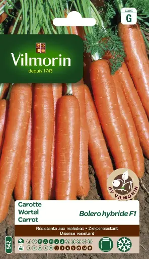 [0999525] Carotte Boléro HF1 (Vilm)