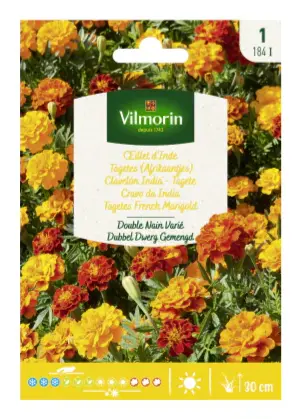 Oeillet D'inde Double Nain Varié Vilmorin