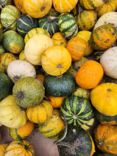 [0999772] Fruit ornement 