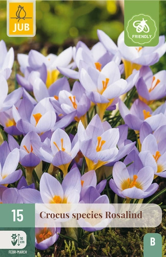 [0999886] Crocus Rosalind * 15 pc 5/+ ** New 2025 ** 