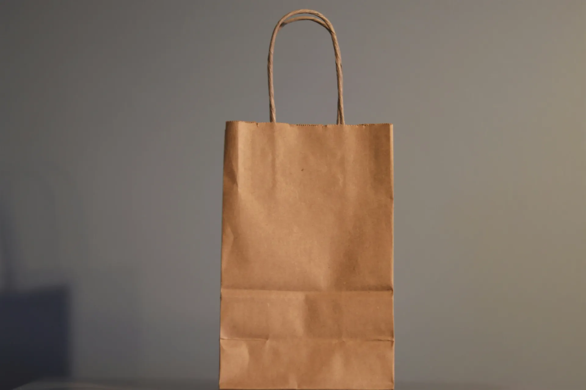 [1000737] Sac à déchets multi-usages - Papier kraft, 80 l, max. 15 kg - H90 x 40 x 20 cm - 4 x